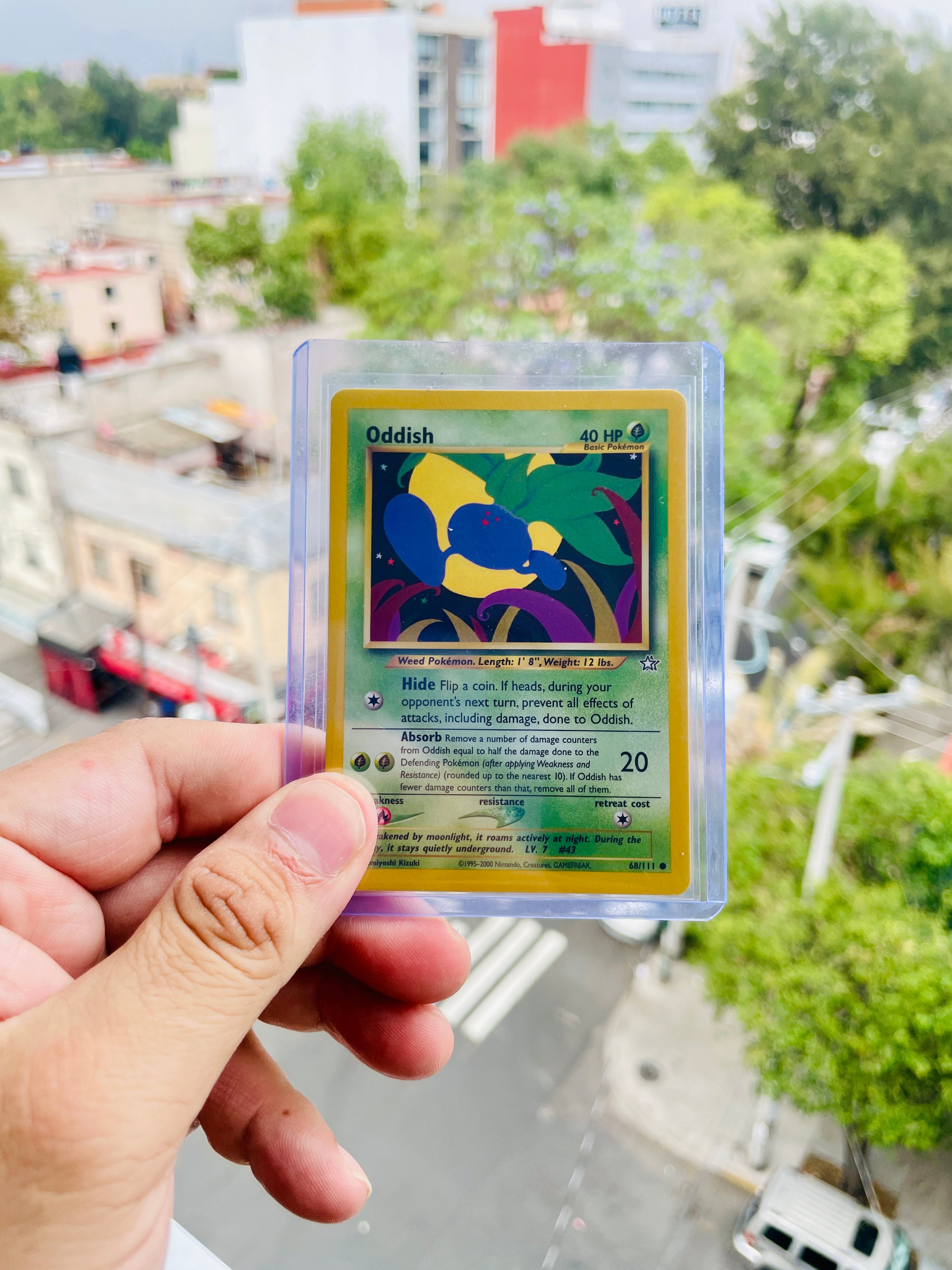 Oddish | Carta Pokémon TCG | Inglés | LP