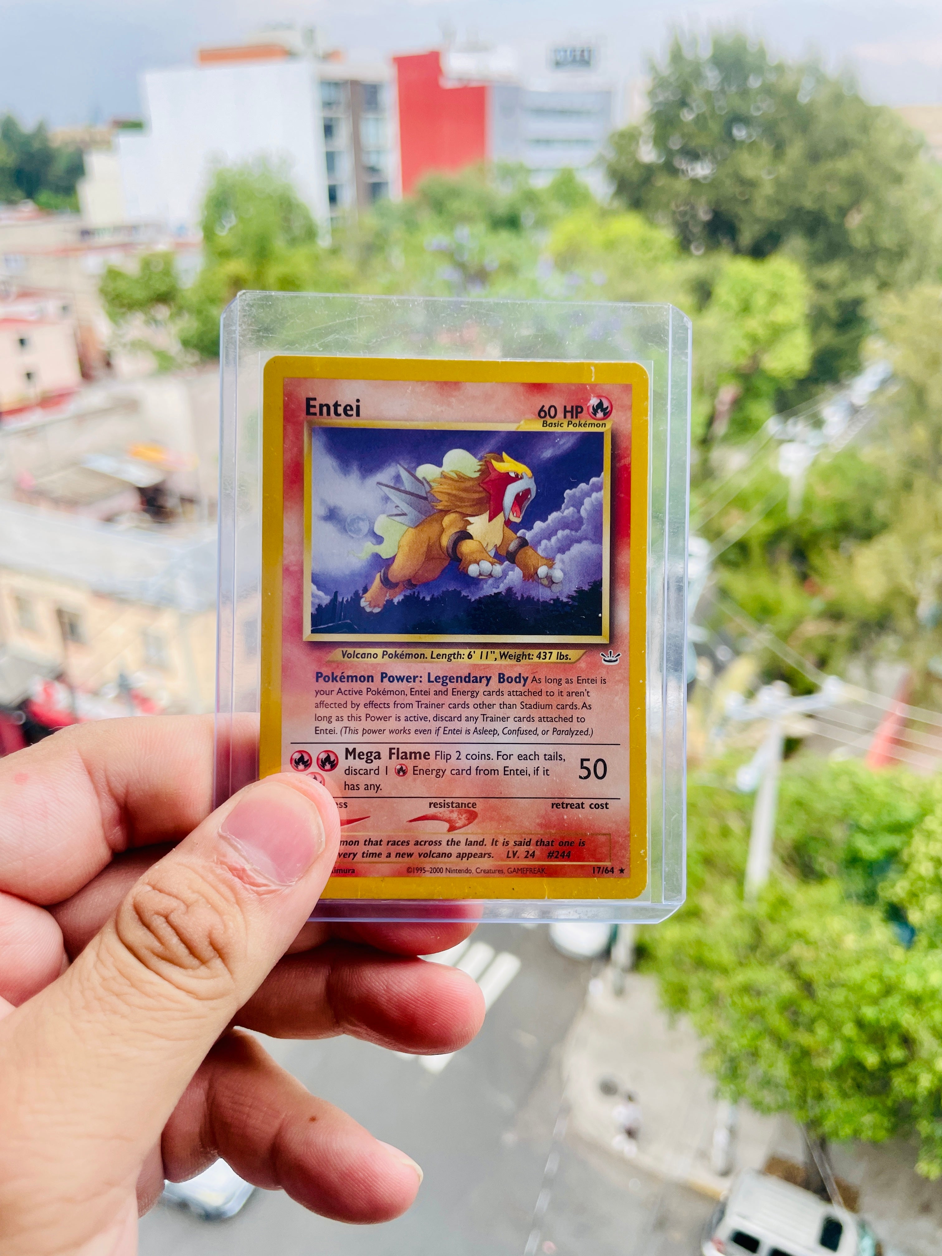 Entei (17) | 17 | Neo Revelation | Carta Pokémon TCG | Inglés | MP