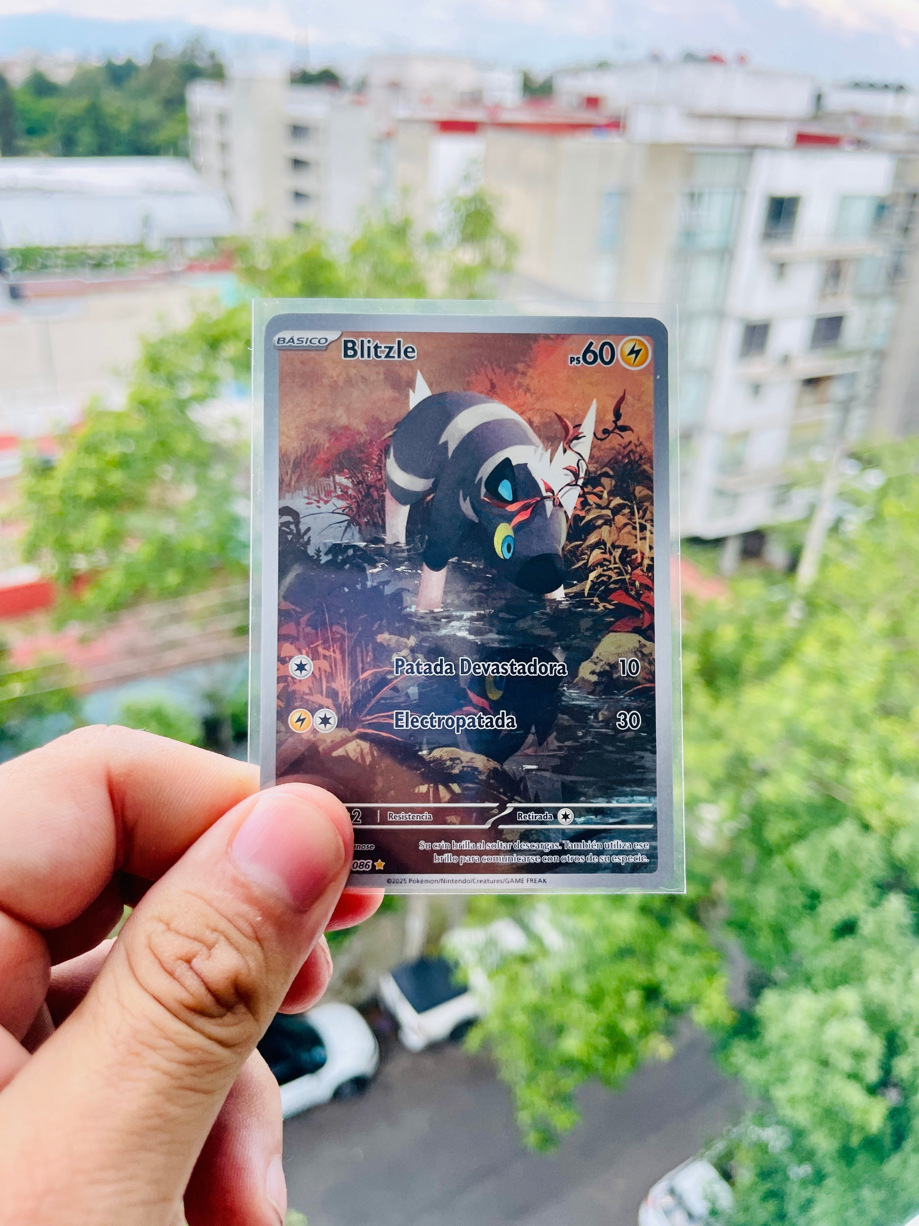 Blitzle 114/086 - NM Español