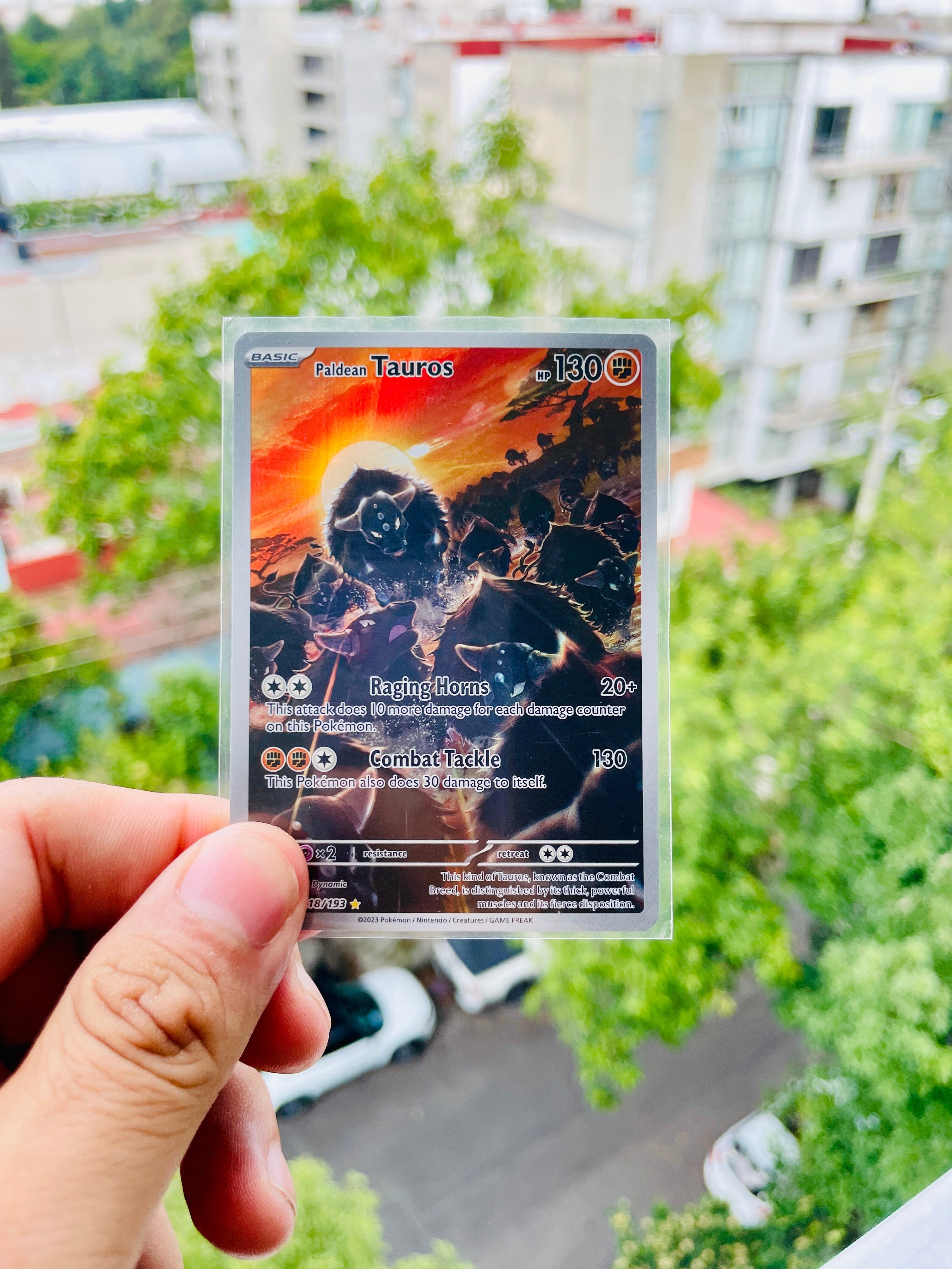 Paldean Tauros 218/193 - NM Inglés