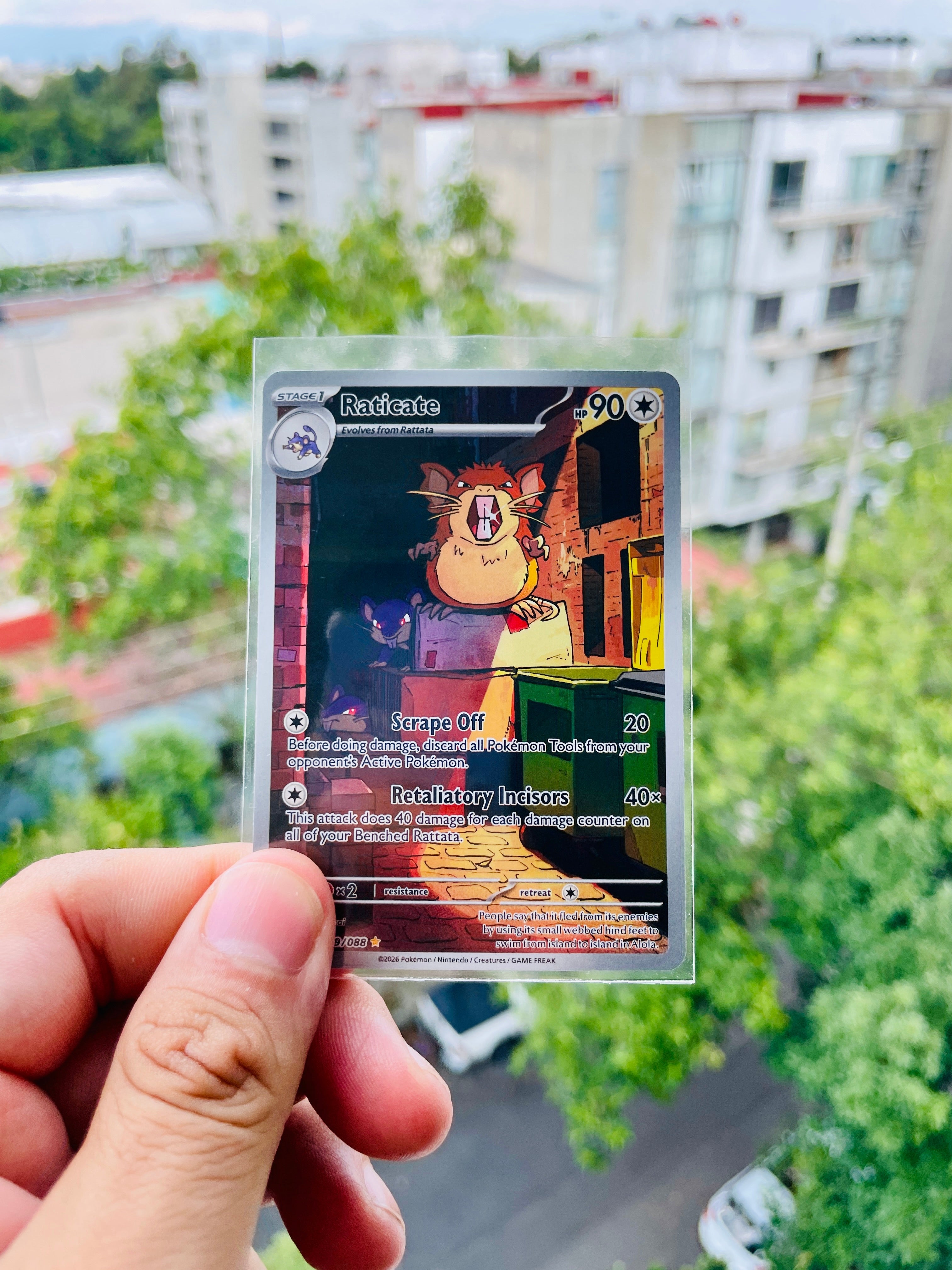 Raticate 099/088 - NM Inglés