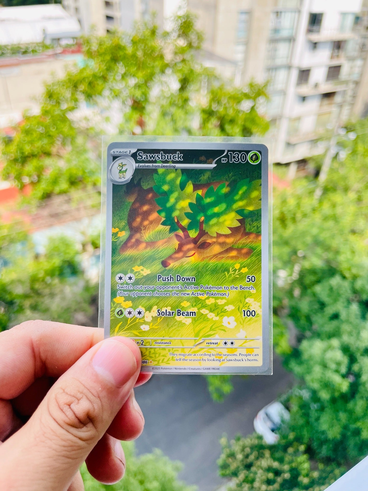 Sawsbuck 092/086 - NM Inglés