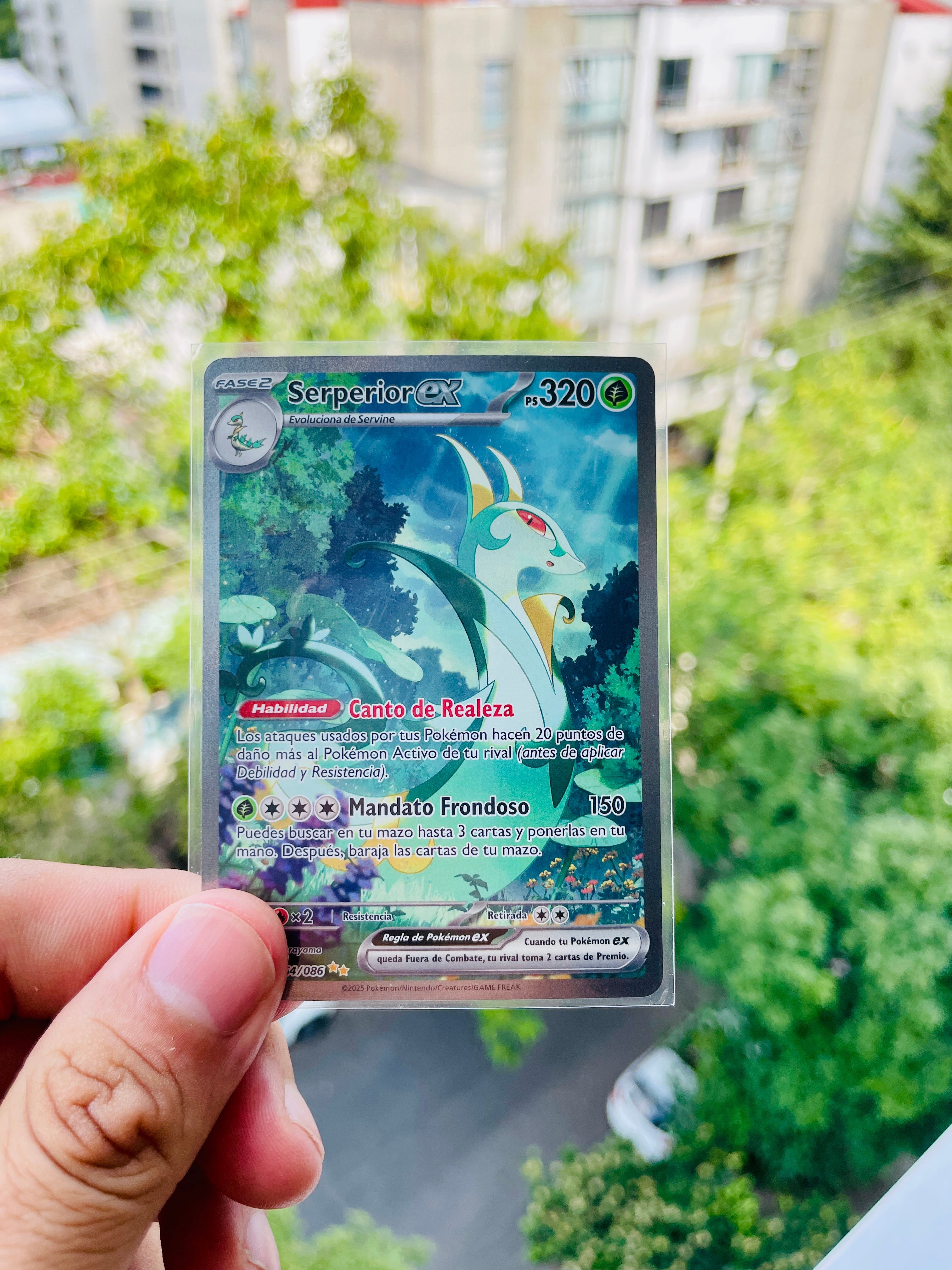 Serperior ex 164/086 - NM Español