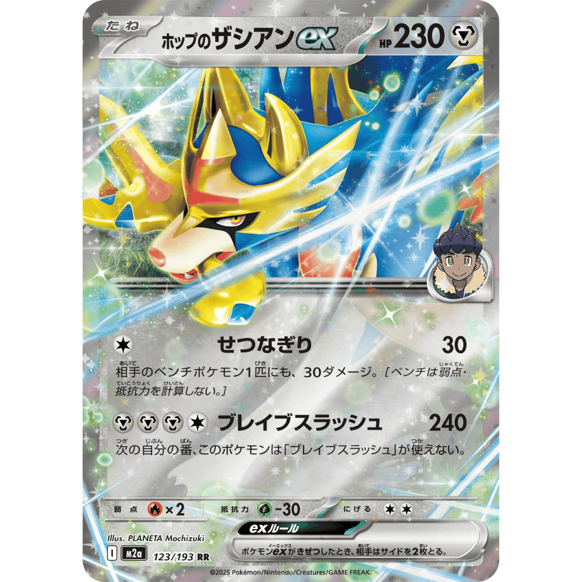Hop's Zacian Pokémon TCG card artwork